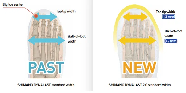 Shimano Dynalast 2.0